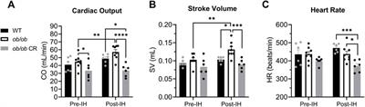 Caloric restriction prevents obesity- and intermittent hypoxia-induced cardiac remodeling in leptin-deficient ob/ob mice